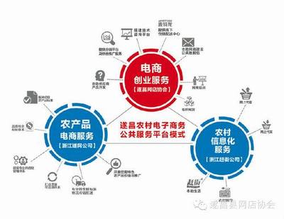 農(nóng)村電子商務(wù)的“遂昌模式” “協(xié)會+公司”驅(qū)動電商服務(wù)創(chuàng)新